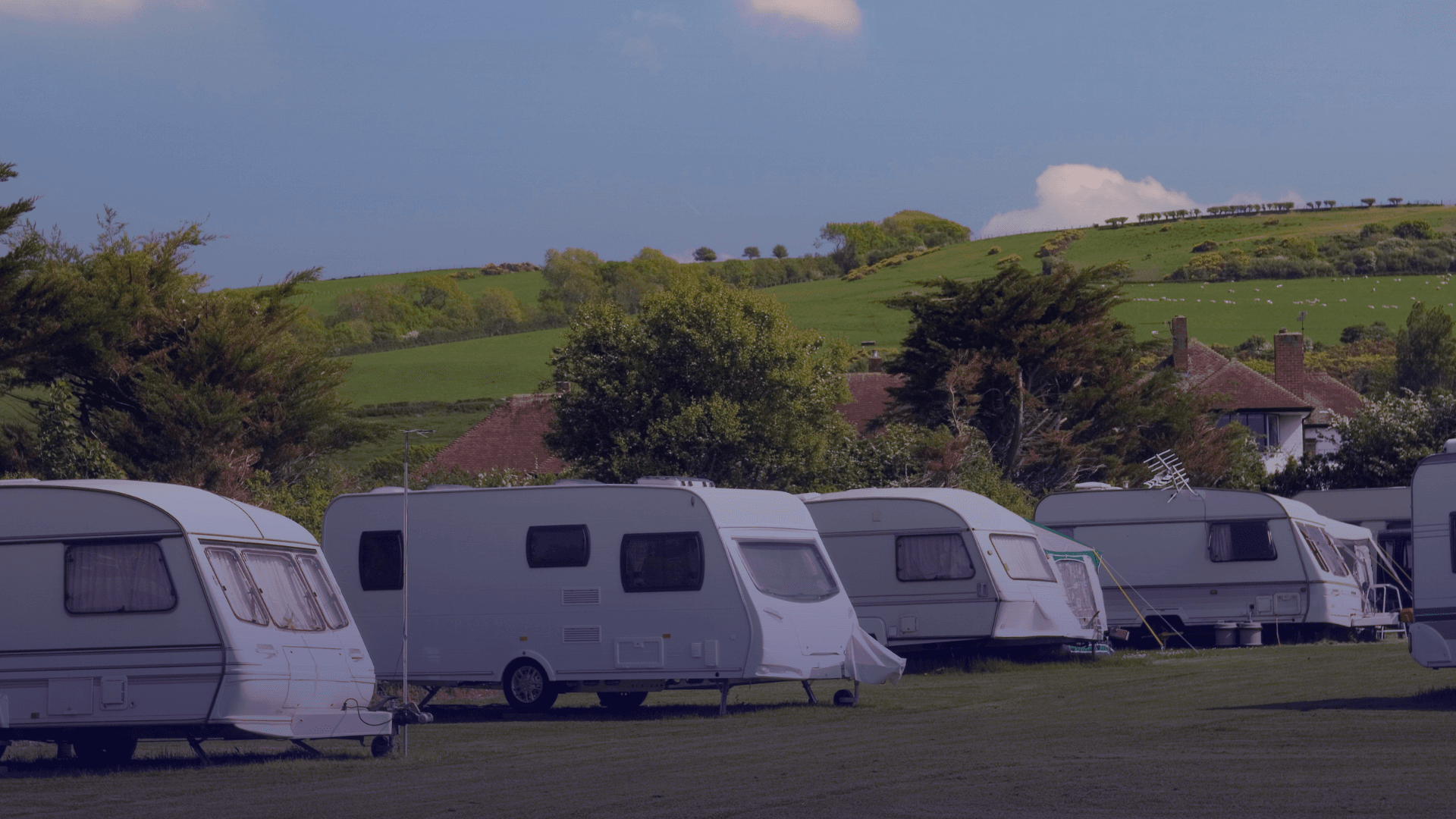 Importing for Resale